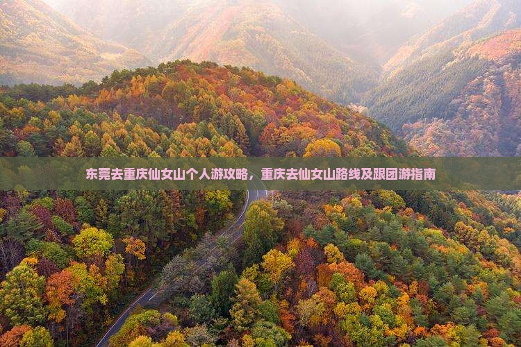 东莞去重庆仙女山个人游