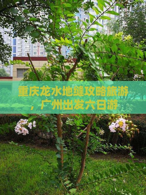 广州去重庆龙水峡地缝六日游