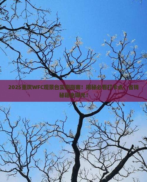 十月到重庆wfc观景台景点