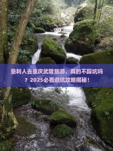 垦利去重庆武隆旅游