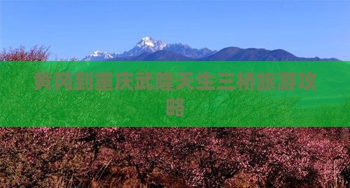 黄冈到重庆武隆天生三桥必去地