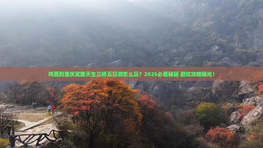 鸡西到重庆武隆天生三桥五日游