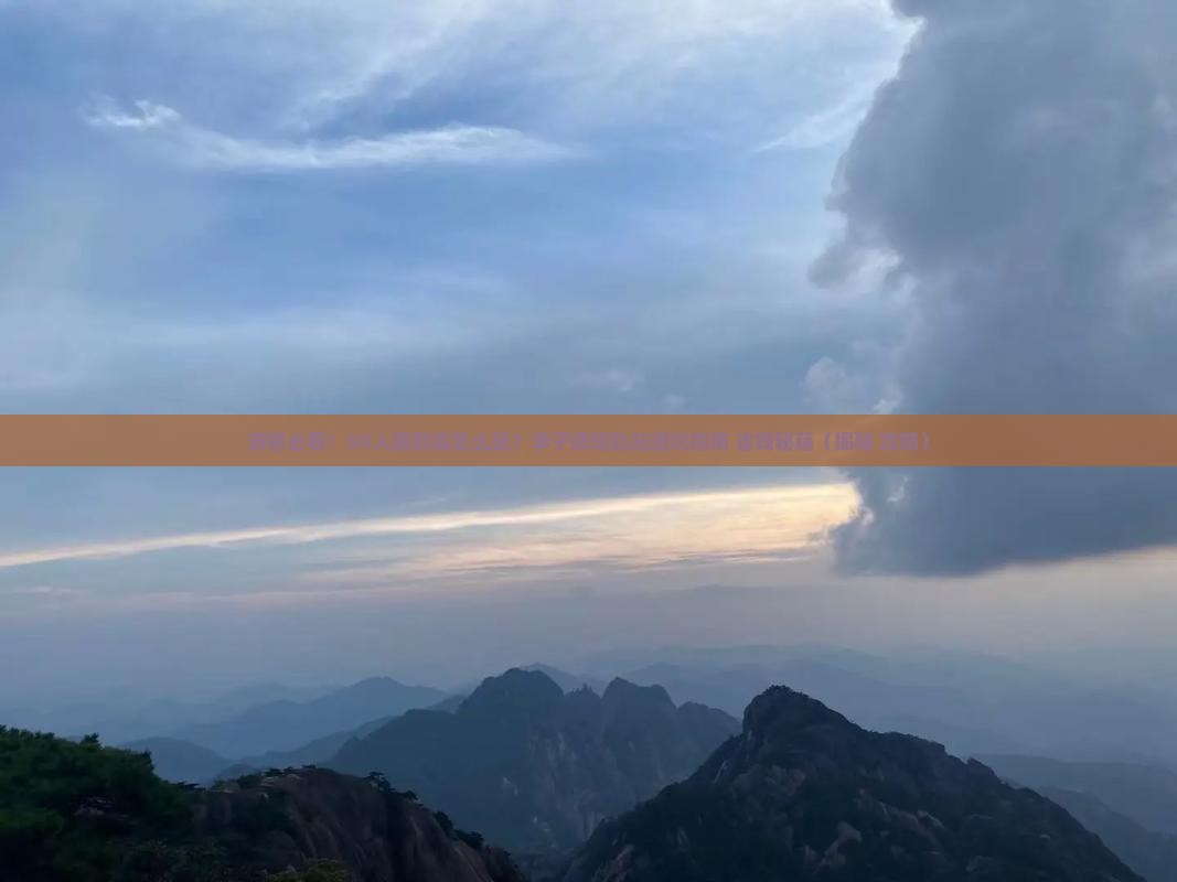 来宾到重庆李子坝轻轨站大型旅游团