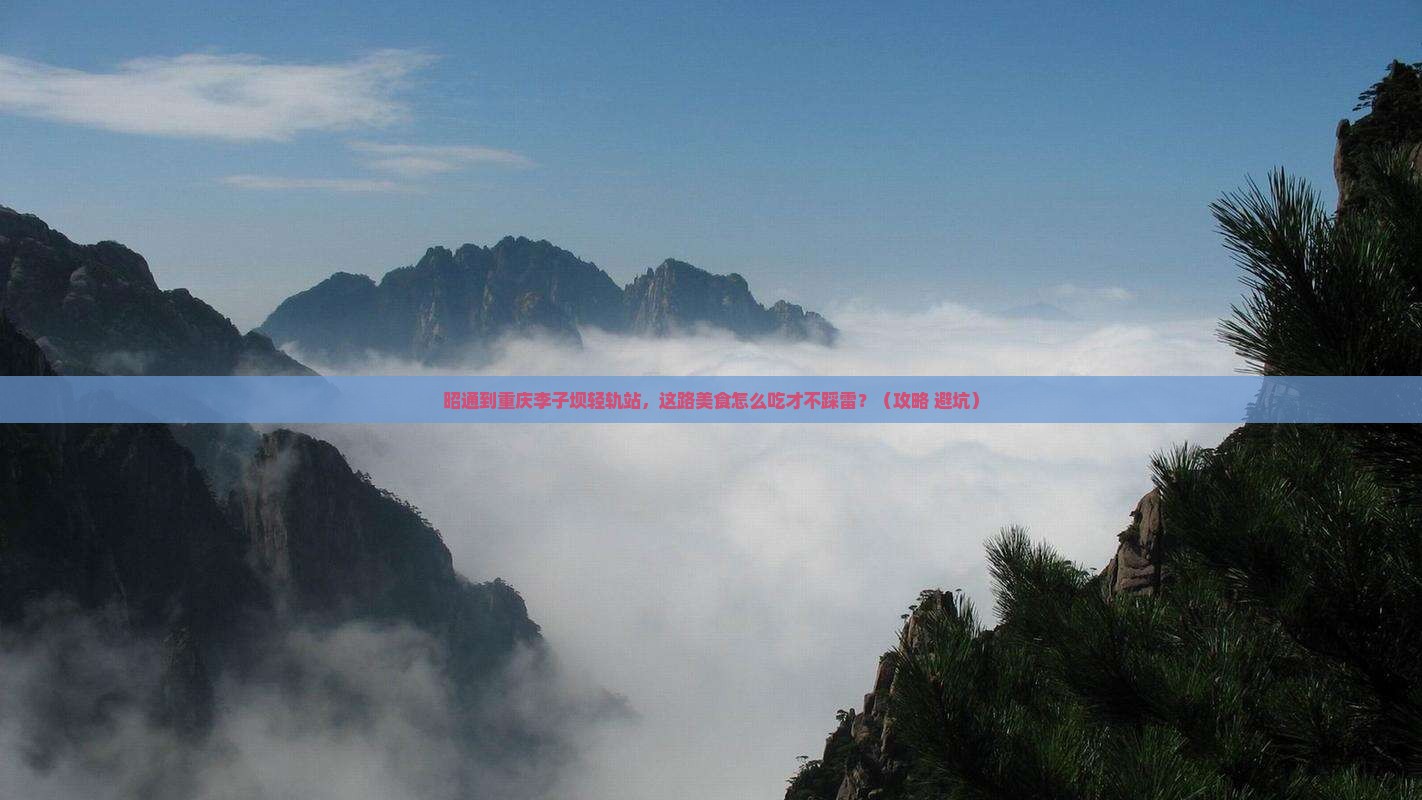 昭通到重庆李子坝轻轨站旅游小吃