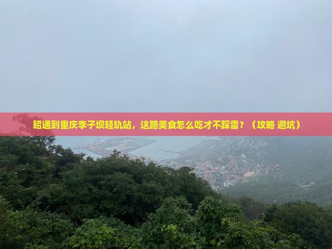 昭通到重庆李子坝轻轨站旅游小吃