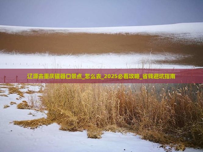 辽源去重庆磁器口景点