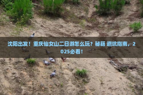 沈阳到重庆仙女山二日游