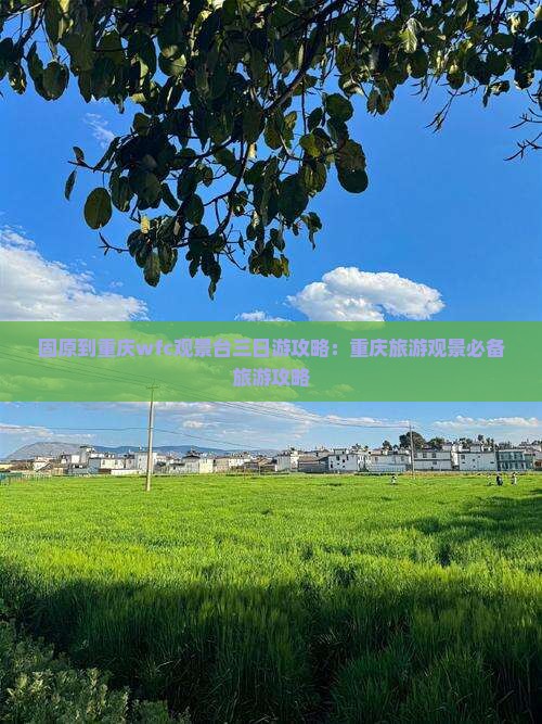 固原到重庆wfc观景台三日游