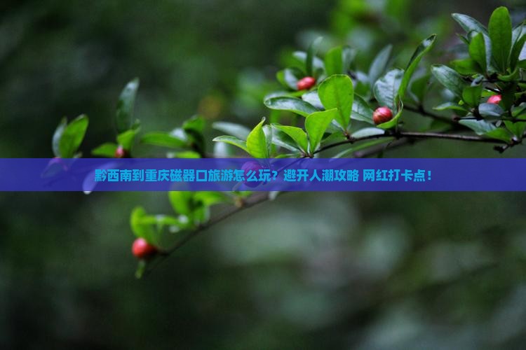 黔西南到重庆磁器口旅游