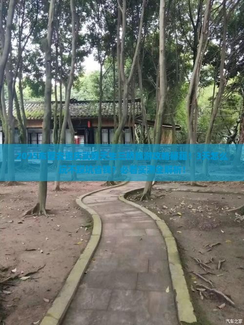 东营去重庆武隆天生三桥旅游