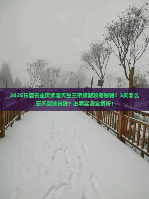 东营去重庆武隆天生三桥旅游
