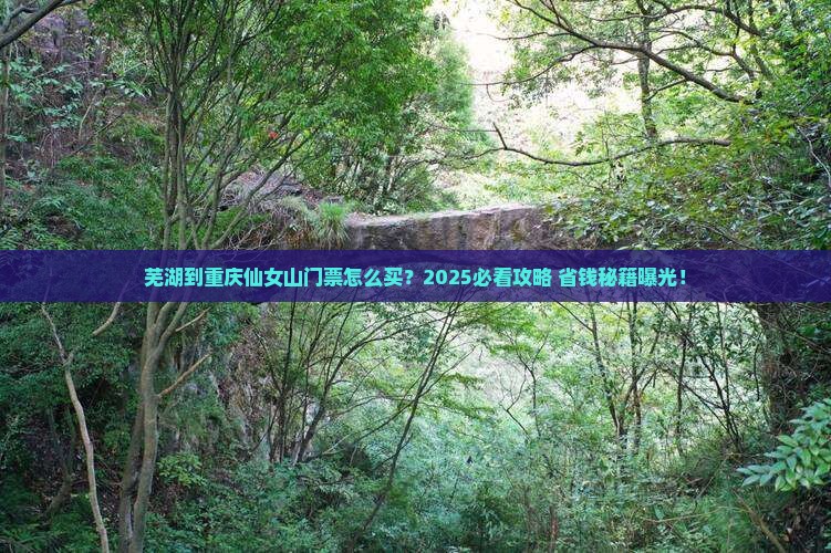 芜湖到重庆仙女山门票