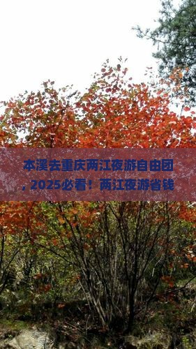 本溪去重庆两江夜游自由团