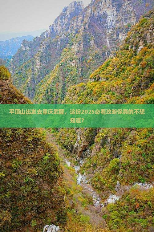 平顶山去重庆武隆个人游