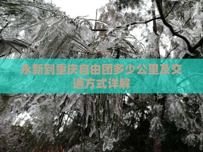 永新到重庆自由团 永新到重庆自由团