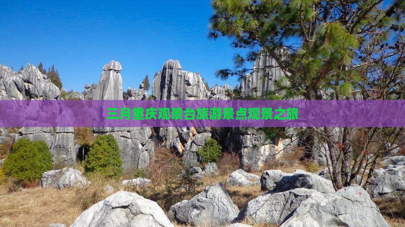 三月到重庆wfc观景台团体旅游