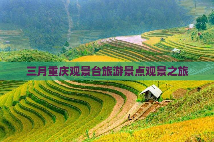 三月到重庆wfc观景台团体旅游