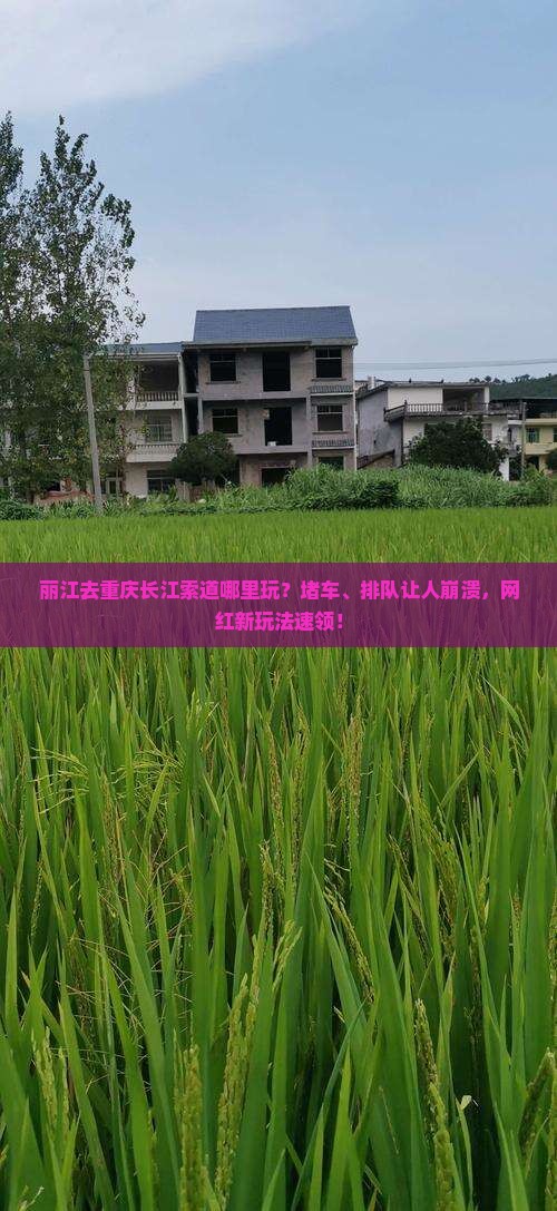 丽江去重庆长江索道哪里玩