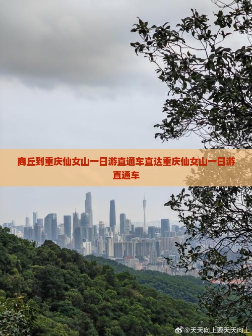 商丘到重庆仙女山一日