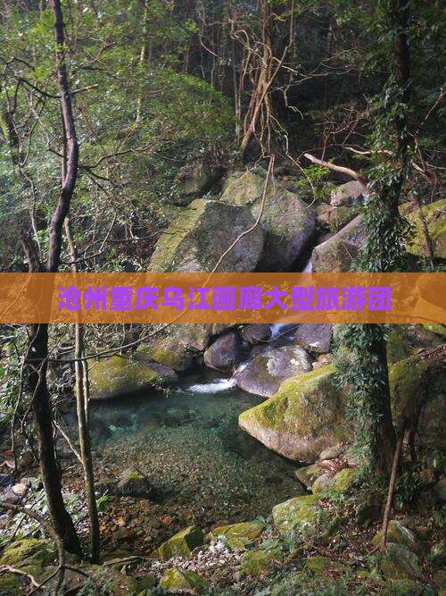 沧州到重庆乌江画廊大型旅游团