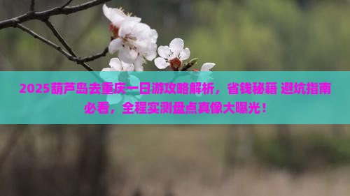 葫芦岛去重庆一日