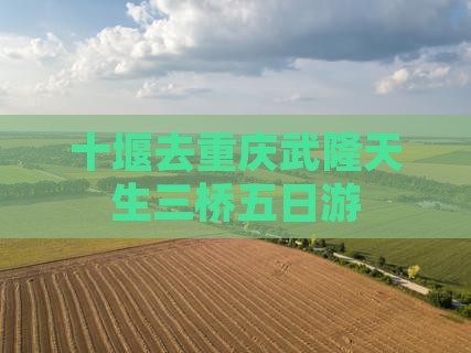 十堰去重庆武隆天生三桥五日游