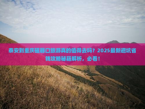 泰安到重庆磁器口旅游
