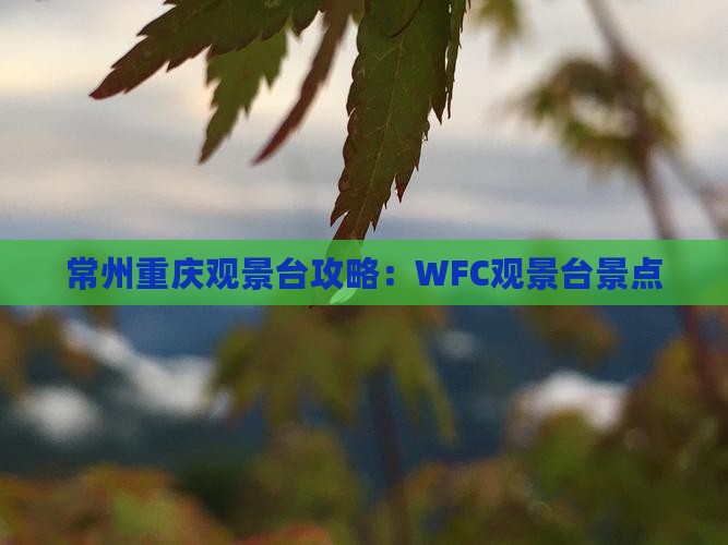 常州去重庆wfc观景台景点