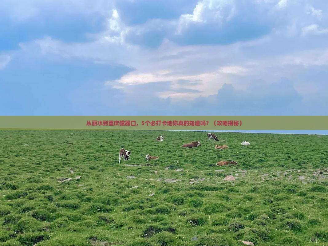 丽水去重庆磁器口必去地