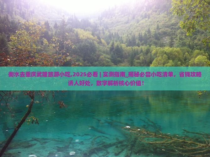 衡水去重庆武隆旅游小吃