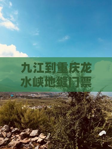 九江到重庆龙水峡地缝门票