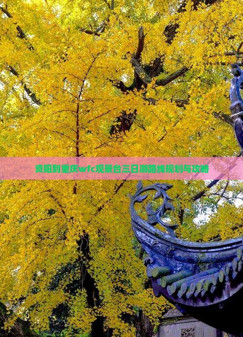 资阳到重庆wfc观景台三日游