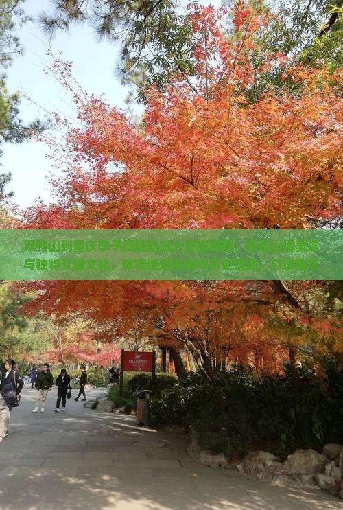 双鸭山到重庆李子坝轻轨站大型旅游团