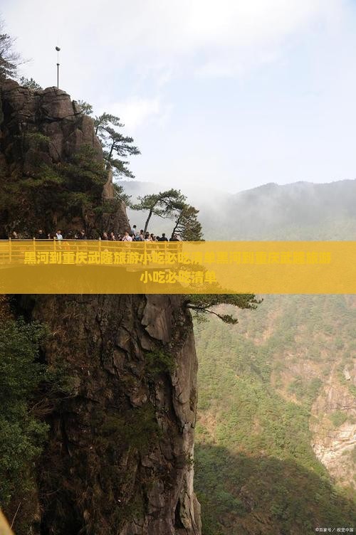 黑河到重庆武隆旅游小吃