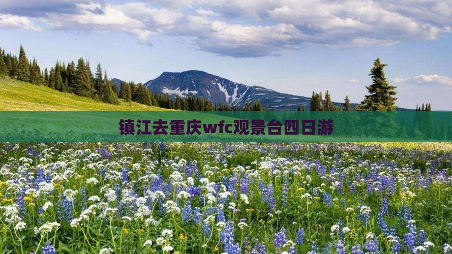 镇江去重庆wfc观景台四日游
