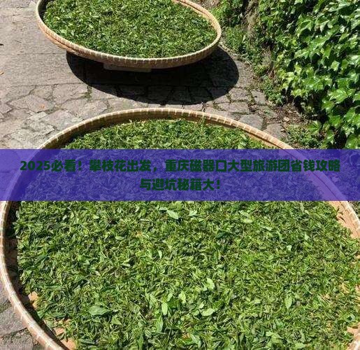 攀枝花到重庆磁器口大型旅游团