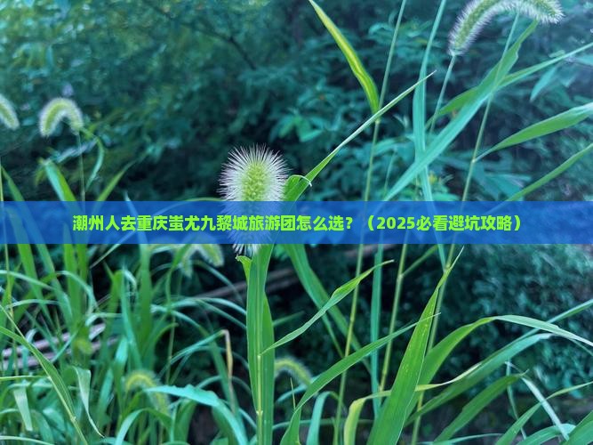 潮州去重庆蚩尤九黎城大型旅游团