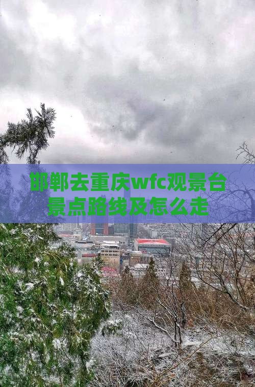 邯郸去重庆wfc观景台景点
