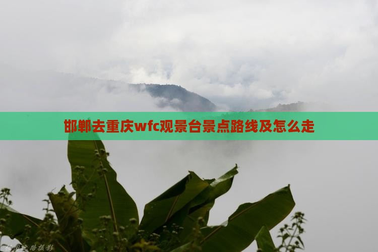 邯郸去重庆wfc观景台景点