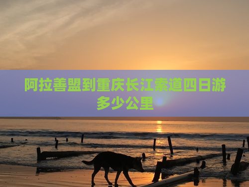 阿拉善盟到重庆长江索道四日游