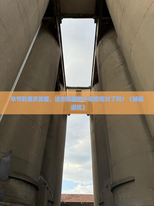 毕节到重庆武隆旅游小吃
