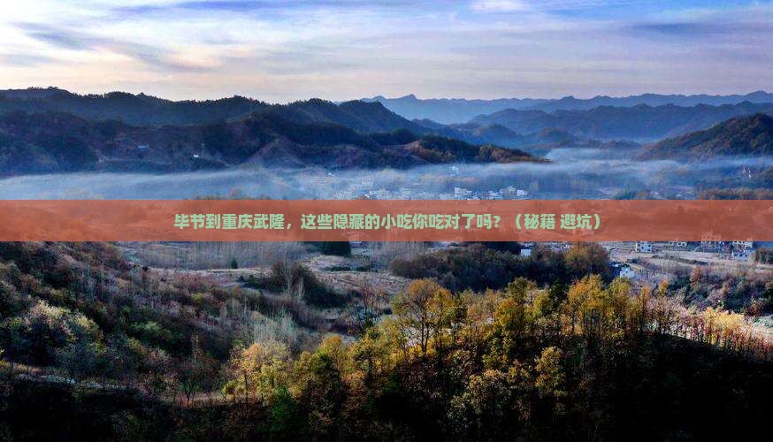 毕节到重庆武隆旅游小吃