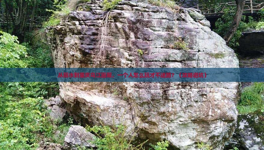 丽水去重庆乌江画廊个人游