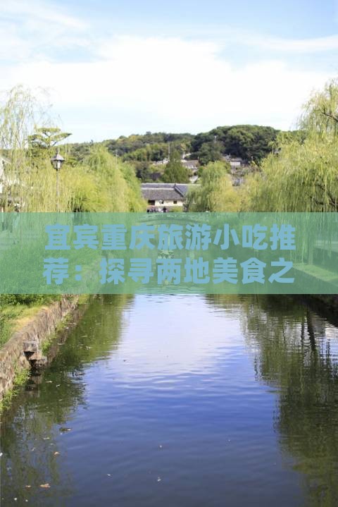 宜宾去重庆旅游小吃
