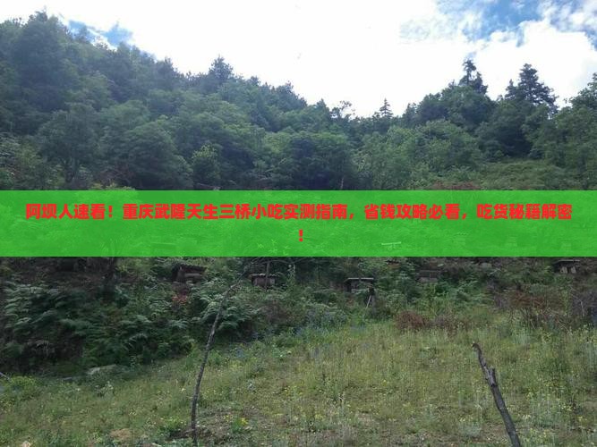 阿坝去重庆武隆天生三桥旅游小吃