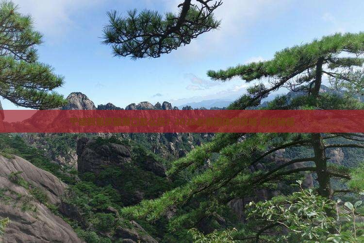 宁德到重庆磁器口团体旅游