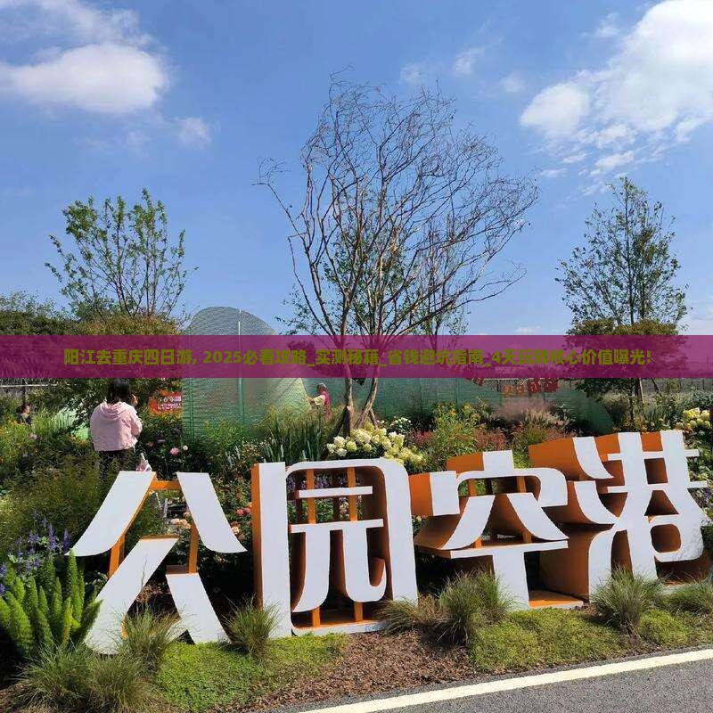 阳江去重庆四日游