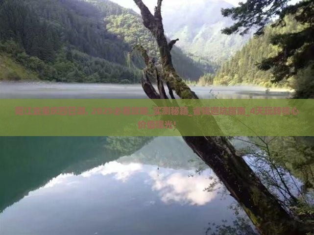 阳江去重庆四日游