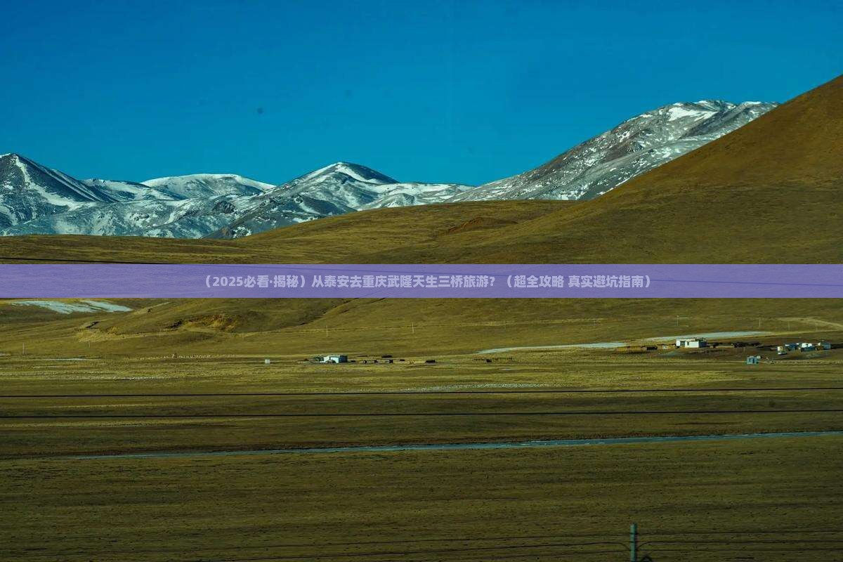 泰安到重庆武隆天生三桥旅游
