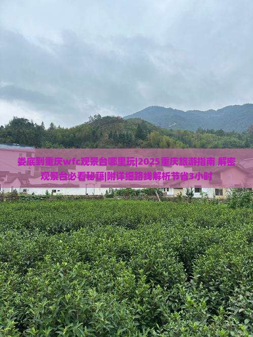 娄底到重庆wfc观景台哪里玩
